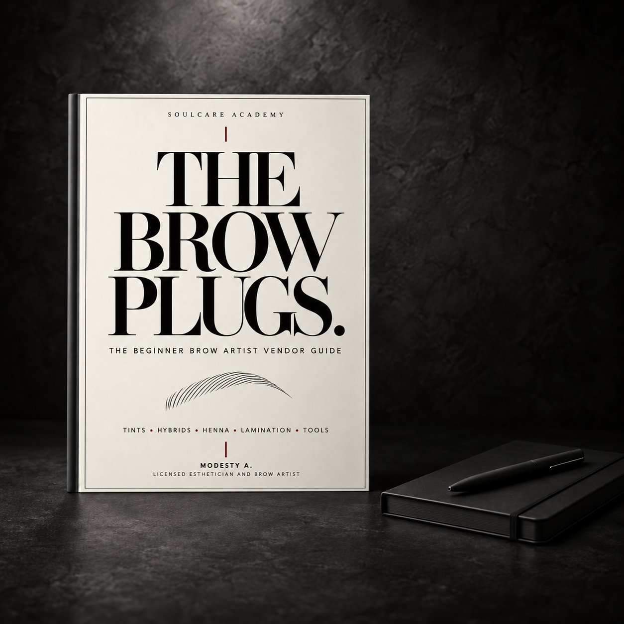 The Brow Plugs | Beginner Brow Artist Vendor Guide