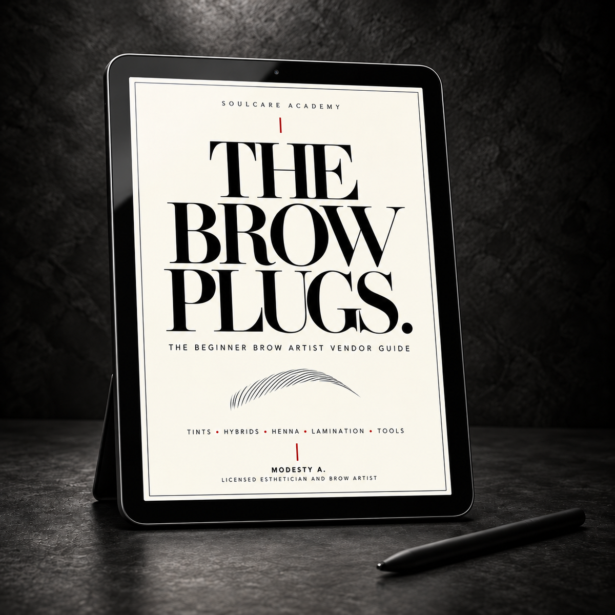 The Brow Plugs | Beginner Brow Artist Vendor Guide