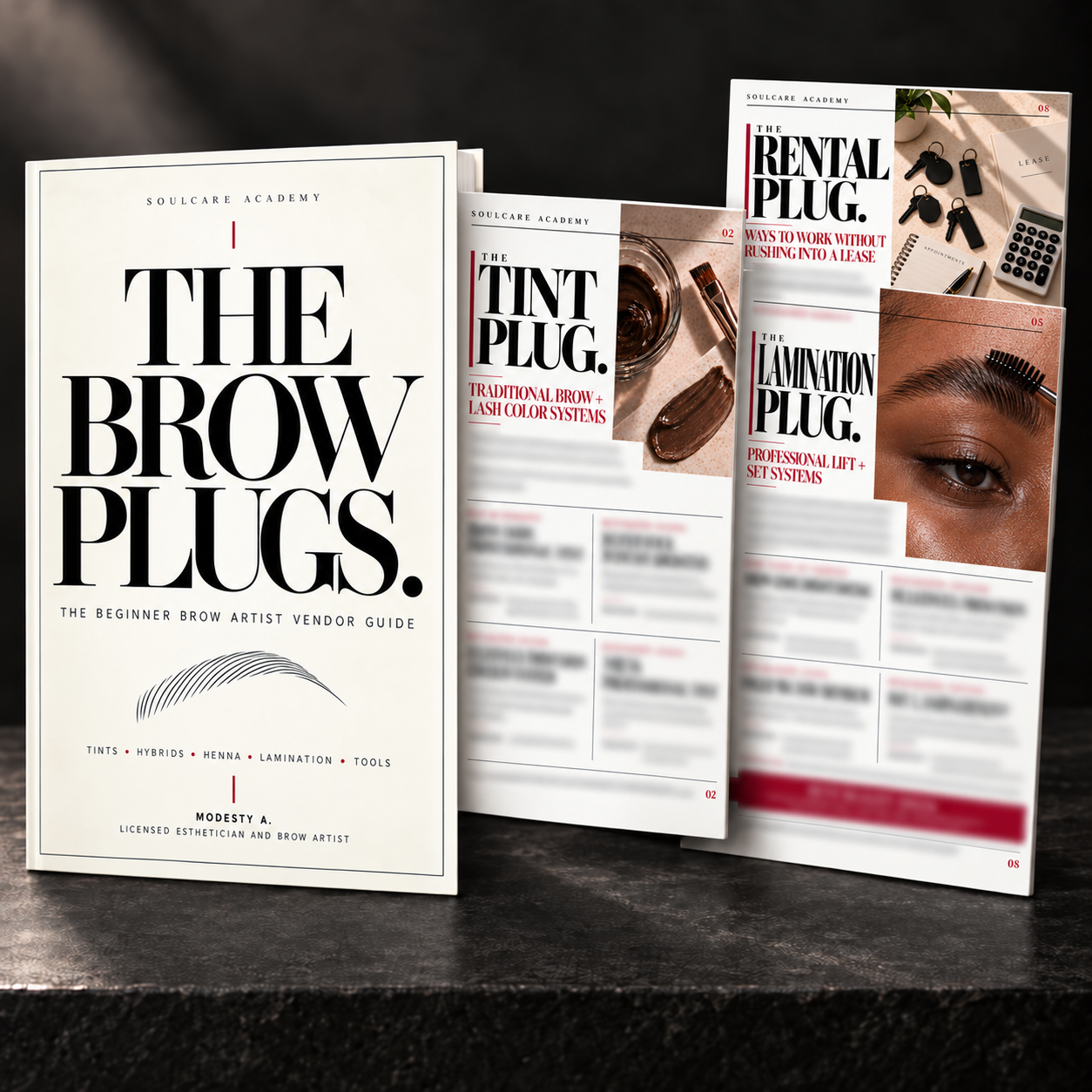 The Brow Plugs | Beginner Brow Artist Vendor Guide