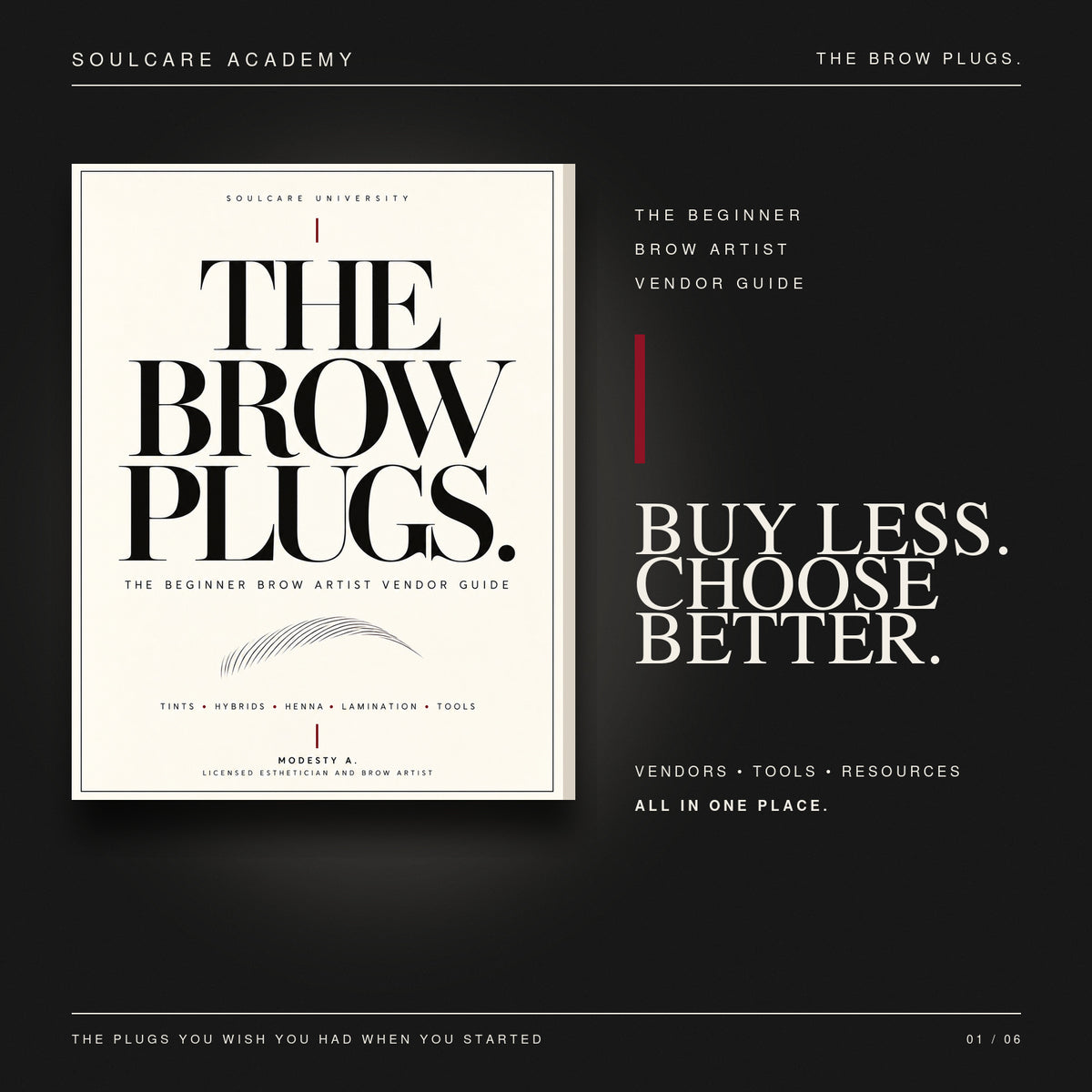 The Brow Plugs | Beginner Brow Artist Vendor Guide
