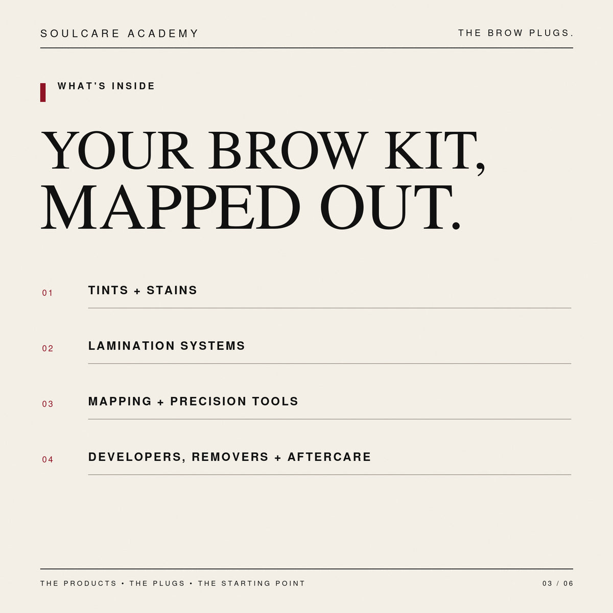 The Brow Plugs | Beginner Brow Artist Vendor Guide